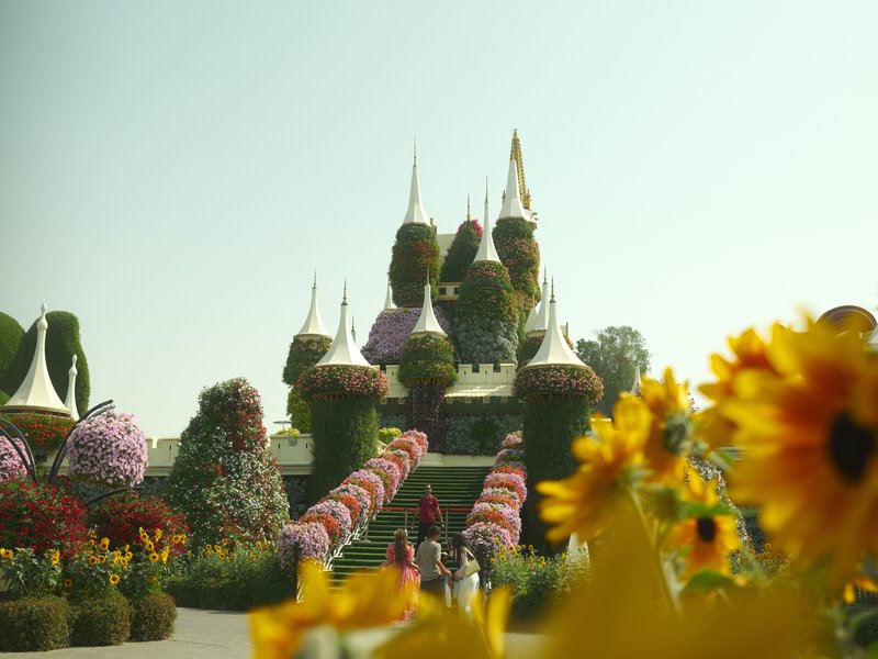 Colorful flower garden with a castle-like structure in the background under a clear sky.
