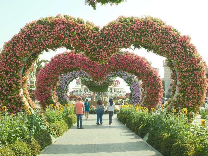 People walking through floral arches in a garden filled with colorful flowers.