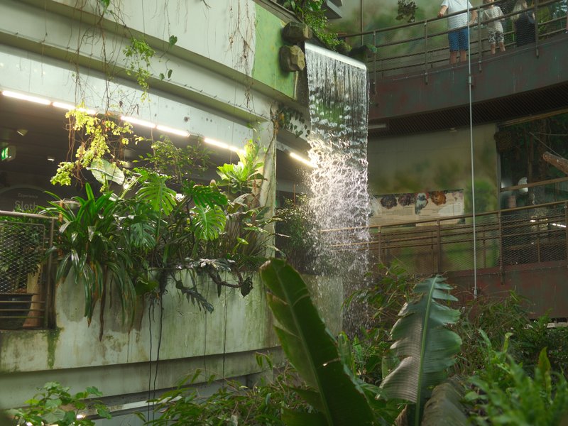 Indoor waterfall surrounded by lush greenery in a modern architectural setting.