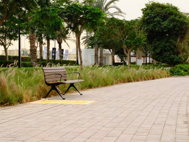 A solitary bench beside a pathway lined with greenery and palm trees under a cloudy sky.
