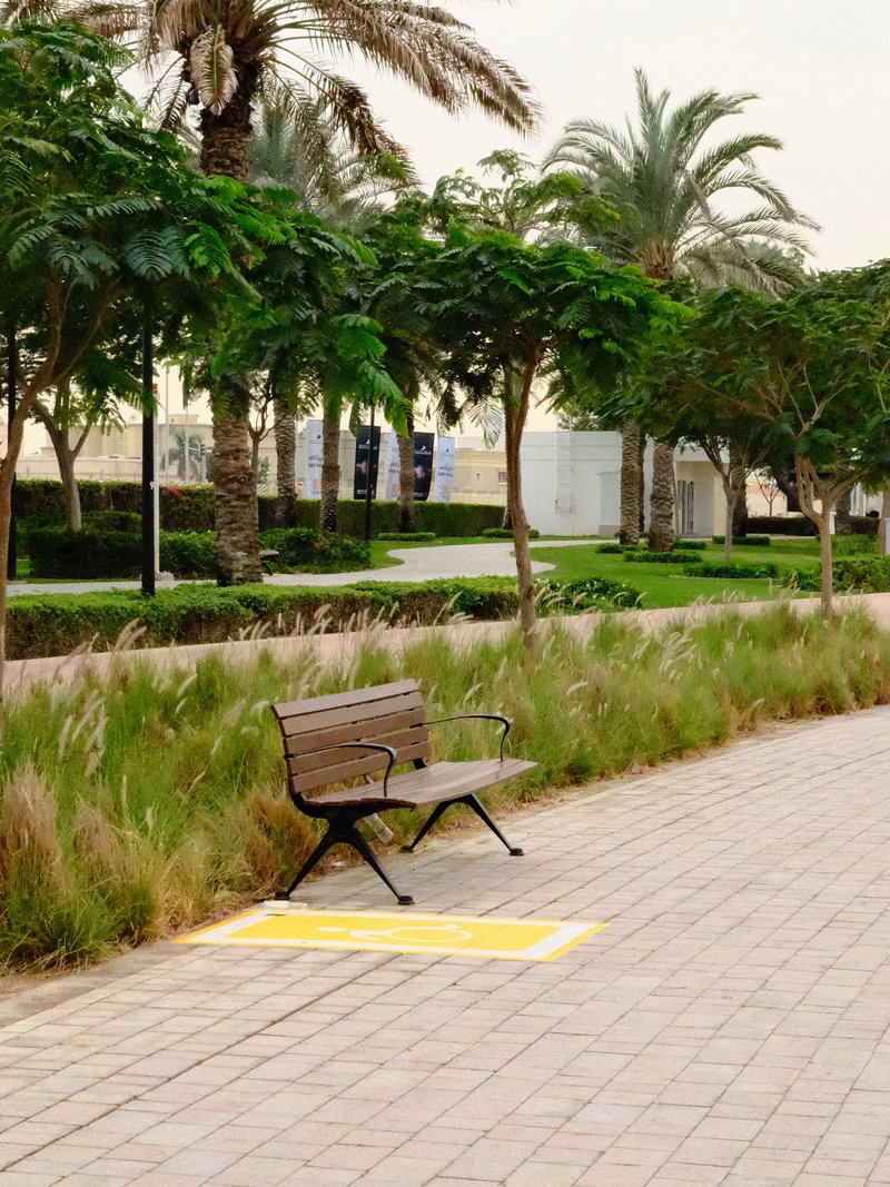 A wooden bench beside a pathway lined with greenery and palm trees in a tranquil outdoor setting.