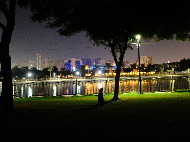 A nighttime park scene with a silhouette of a person near a lake, city lights reflecting on the water.