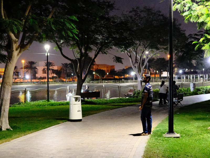 A serene park scene at night with a pathway, trees, and a calm water body reflecting lights.