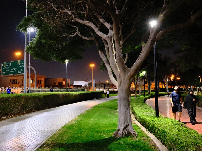 Night scene in a park with walking paths, trees, and streetlights illuminating the area.