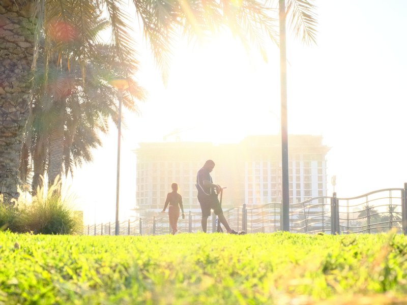 Silhouetted figures walking on a sunlit lawn with palm trees and a building in the background.