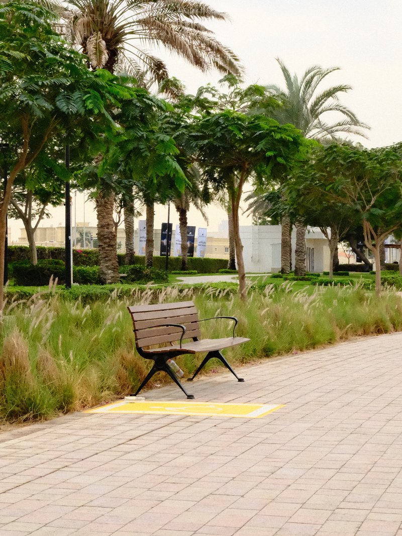 A solitary bench on a paved path surrounded by greenery and palm trees under a hazy sky.