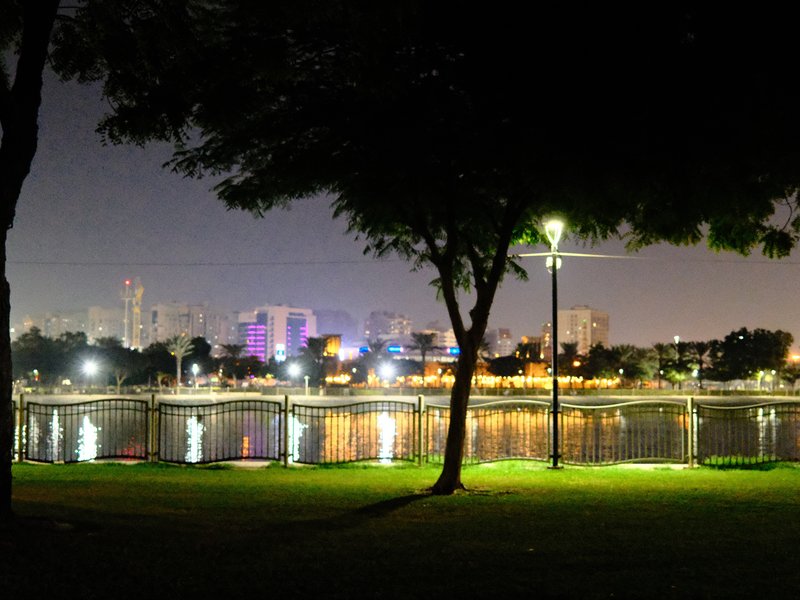 Night view of a city skyline reflected in water, with trees and a lamp post in the foreground.