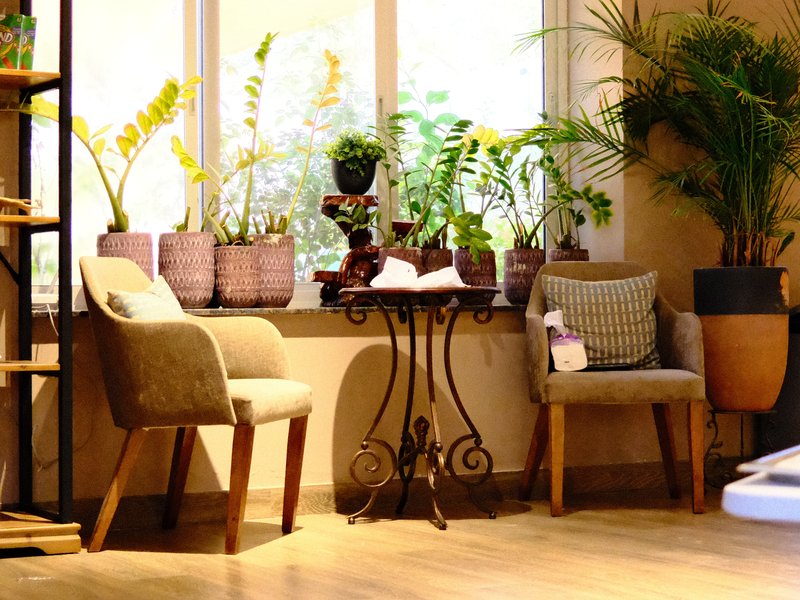 Cozy indoor corner with two chairs, a small table, and various potted plants near a window.