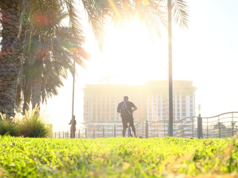 Silhouetted figures against a bright sunlit background with palm trees and green grass.
