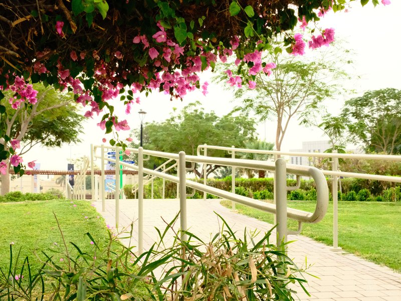 A pathway with a ramp surrounded by vibrant pink flowers and green foliage under a cloudy sky.