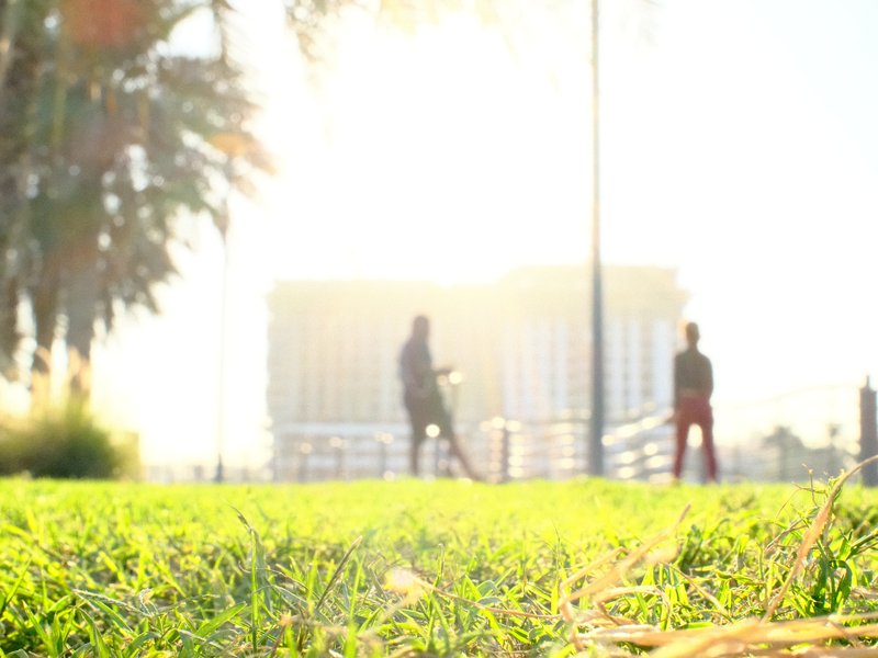 Two silhouetted figures standing on a grassy area with a bright background and palm trees.