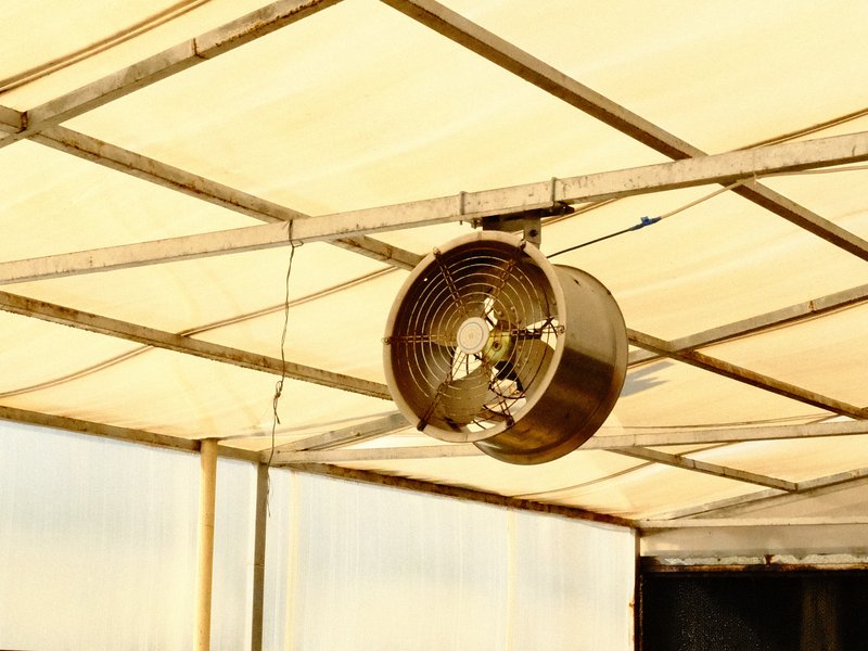 A ceiling-mounted fan in a greenhouse with a beige canopy overhead.