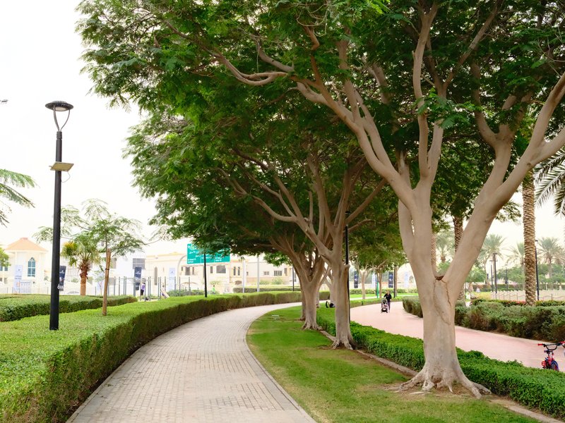 A winding pathway lined with trees and shrubs in a park setting.