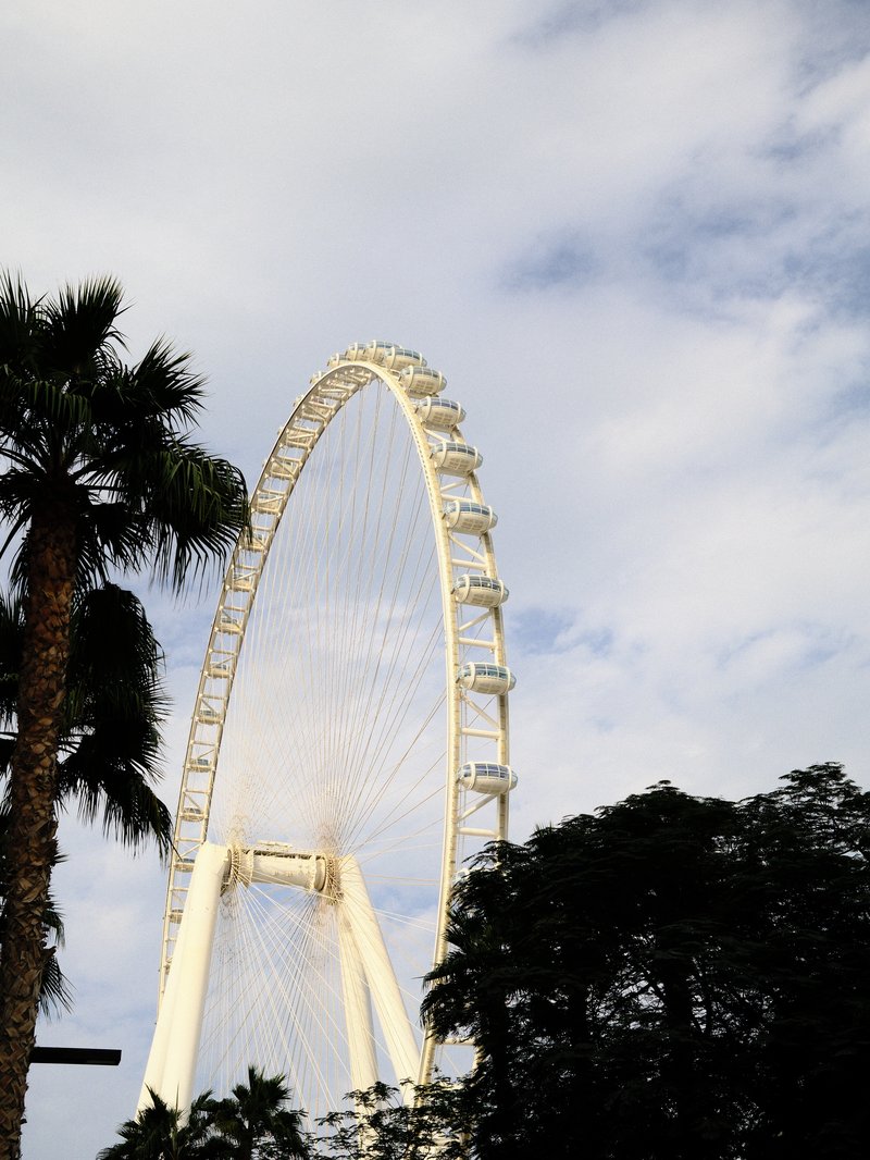 A large ferris wheel partially obscured by palm trees under a cloudy sky.