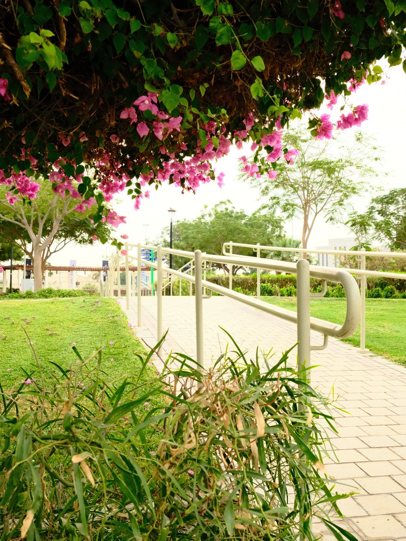A pathway with a railing surrounded by greenery and blooming flowers under a bright sky.