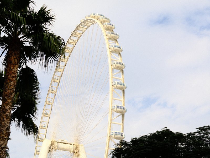 A large white ferris wheel against a cloudy sky, with palm trees in the foreground.