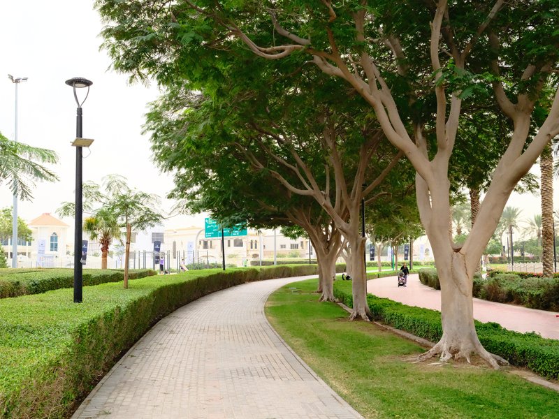 A winding pathway lined with trees and shrubs in a park setting.