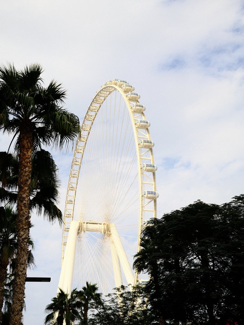 A large ferris wheel partially obscured by palm trees under a cloudy sky.
