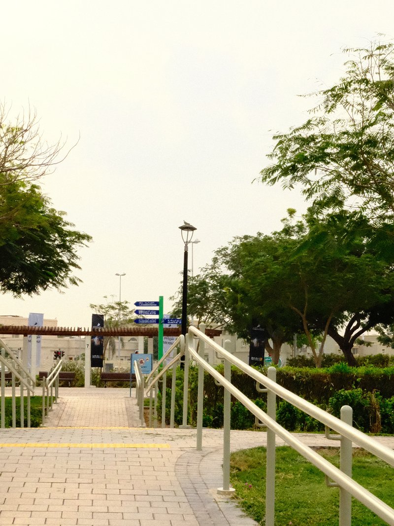 A pathway leading through a park with trees and a lamp post under a hazy sky.