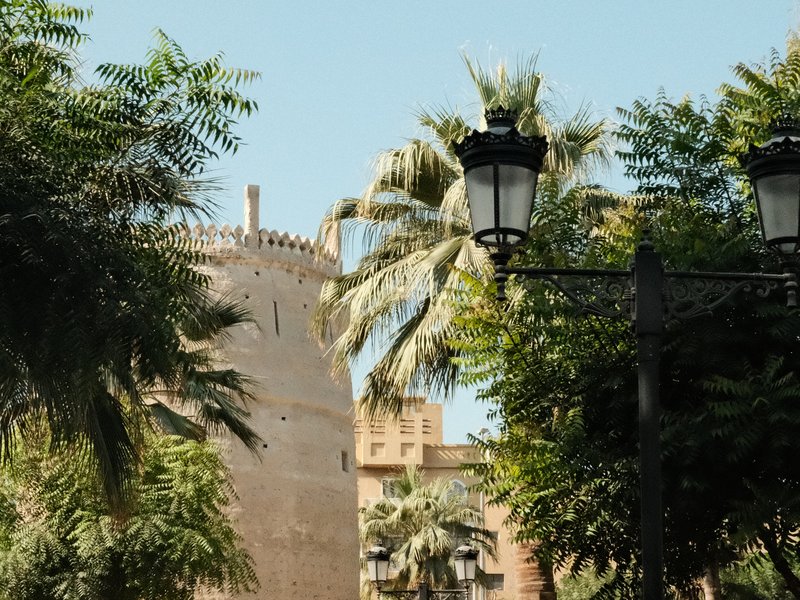 A historic tower partially obscured by palm trees and street lamps in a sunny urban setting.