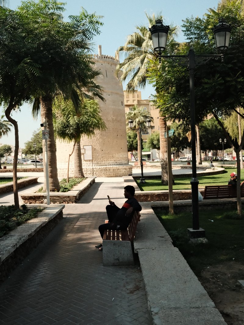 A person sitting on a bench in a park with palm trees and historical architecture in the background.