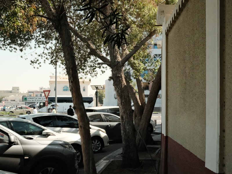 A street scene featuring parked cars and trees, with a building in the background under bright sunlight.