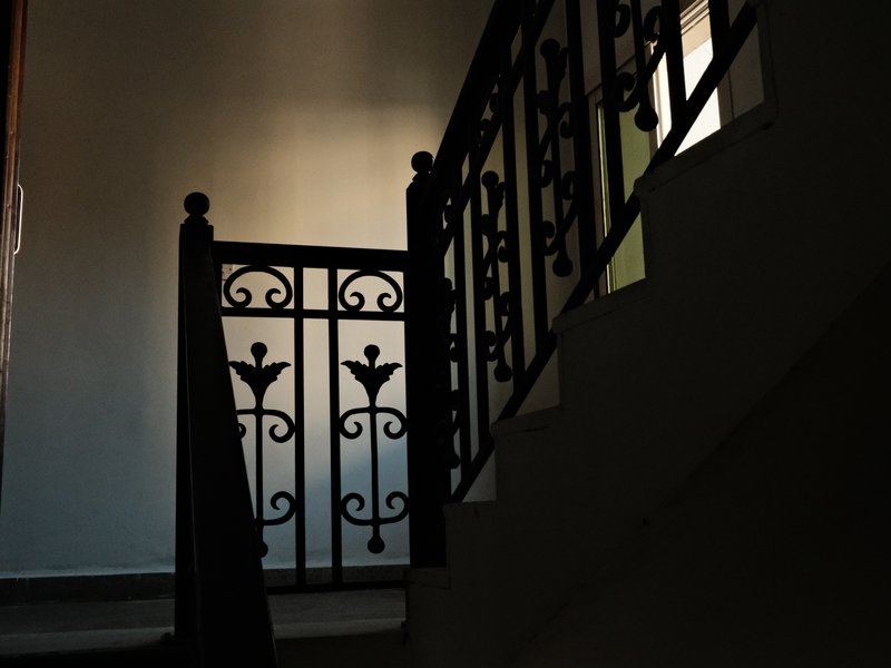 A dimly lit staircase with ornate black railings casting shadows on the wall.