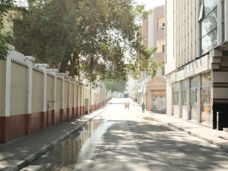 A quiet urban street with trees lining the sides and a puddle reflecting the sunlight.