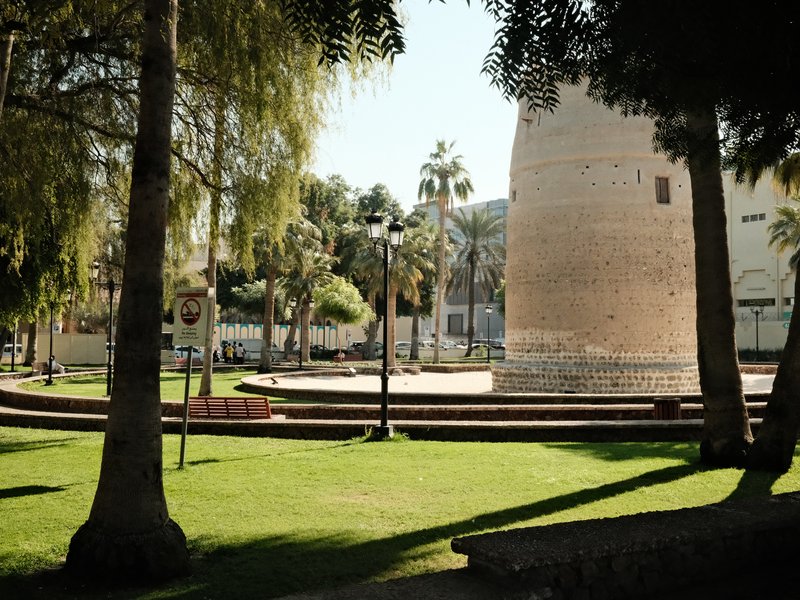 A sunny park scene featuring a historic tower surrounded by trees and green grass.