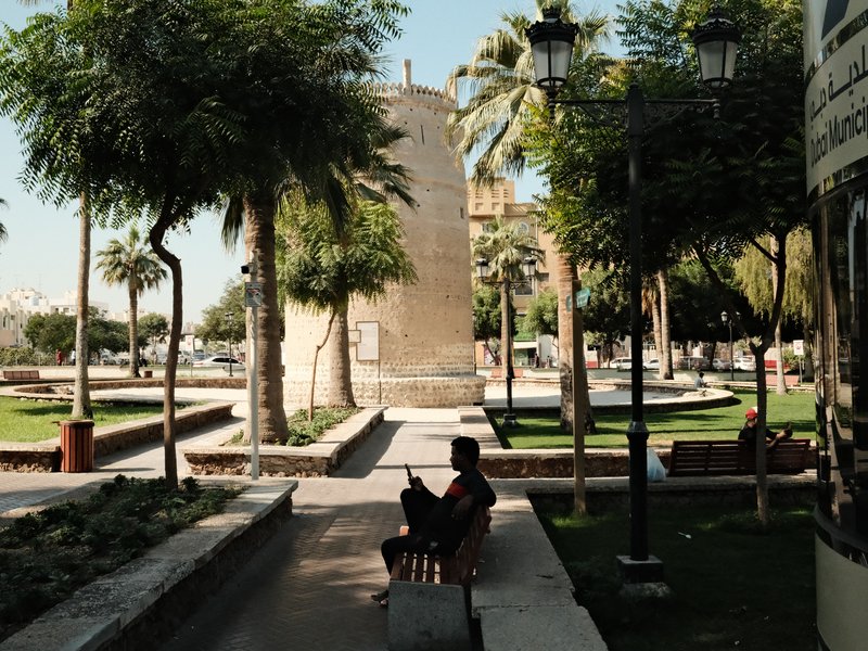 A person sitting on a bench in a park surrounded by palm trees and greenery, with a historical tower in the background.