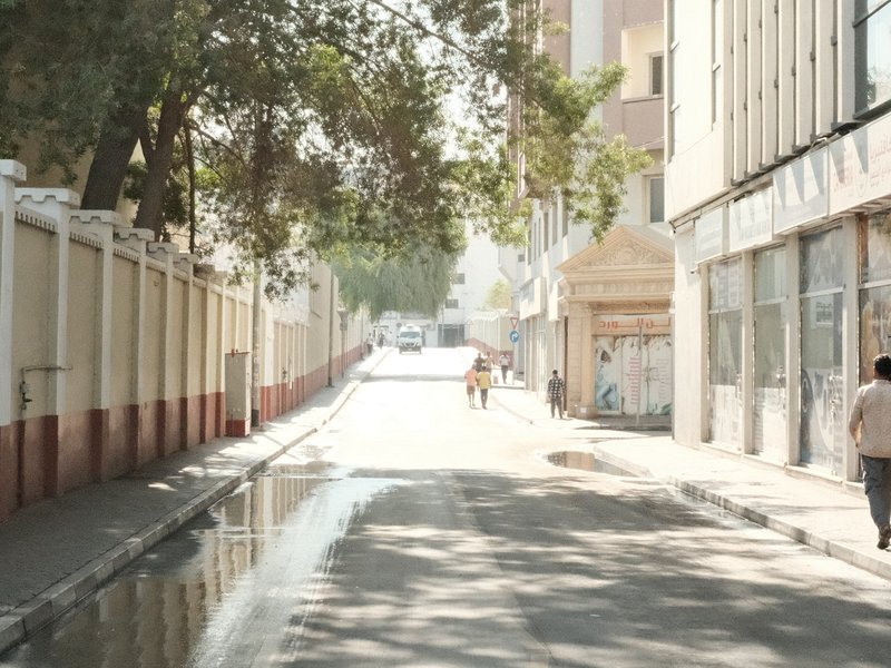 A quiet urban street with trees lining the sides and a puddle reflecting the sunlight.
