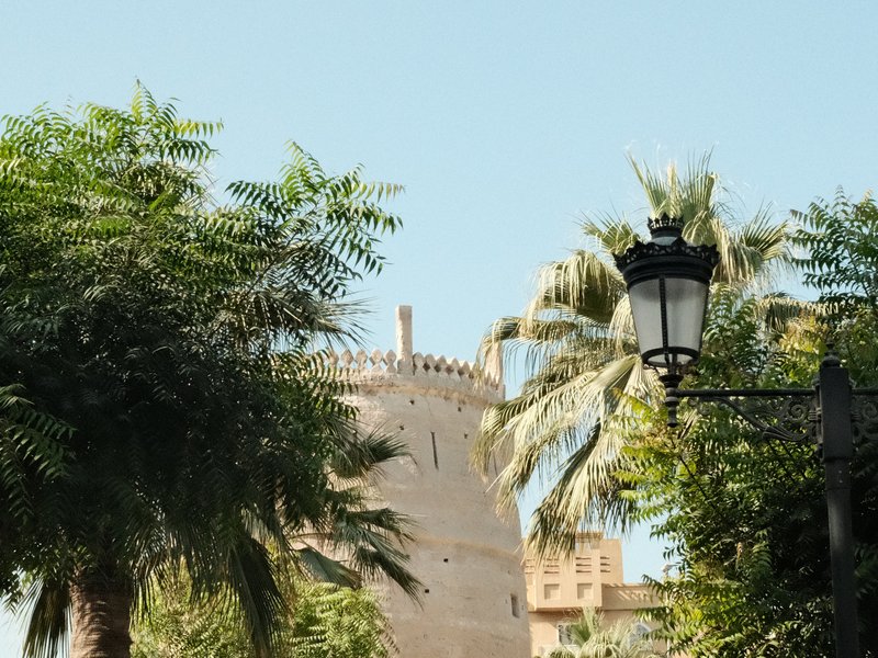 A historic tower partially obscured by palm trees and a street lamp under a clear blue sky.