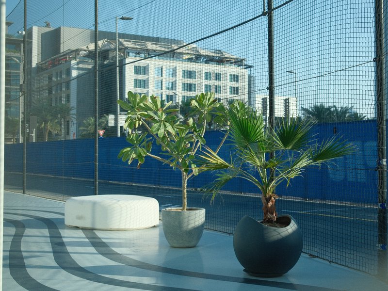 Two potted plants on a modern balcony with a blue construction fence in the background.