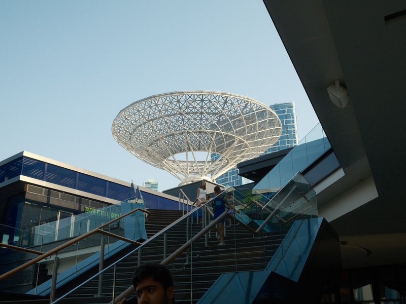 A modern architectural structure resembling a large tree canopy, viewed from below with stairs in the foreground.