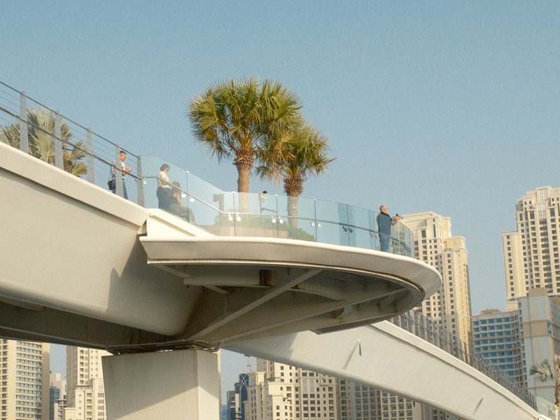 A modern bridge with palm trees and city skyline in the background under a clear sky.
