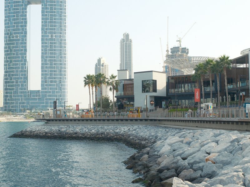 Coastal view featuring modern architecture and a rocky shoreline with palm trees.