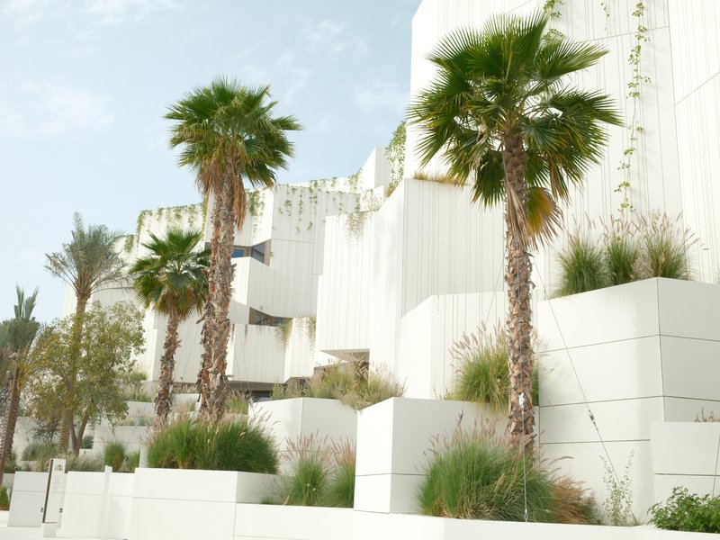 Modern architecture with white walls and palm trees in a landscaped setting under a clear sky.
