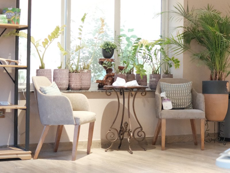 A cozy indoor seating area with two chairs, a small table, and various potted plants by a large window.