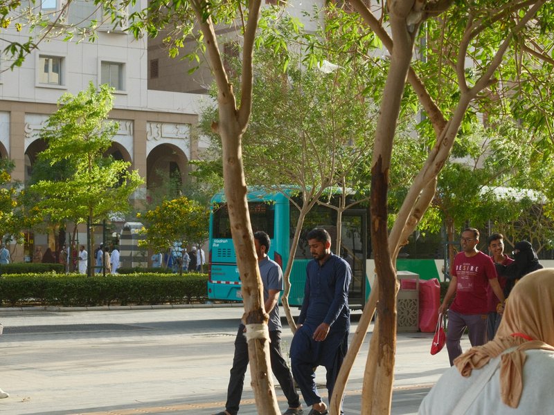 Two men walking on a street lined with trees, with a bus and people in the background.