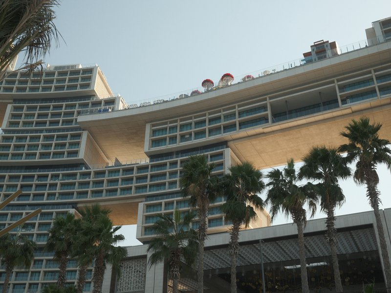 Modern architectural building with unique design and palm trees in the foreground.
