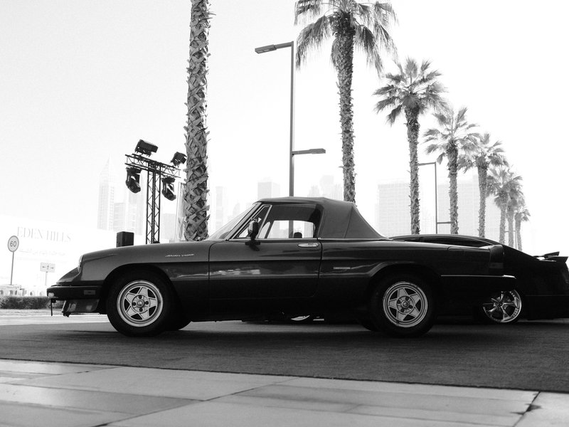 A classic black car parked under palm trees with a city skyline in the background.
