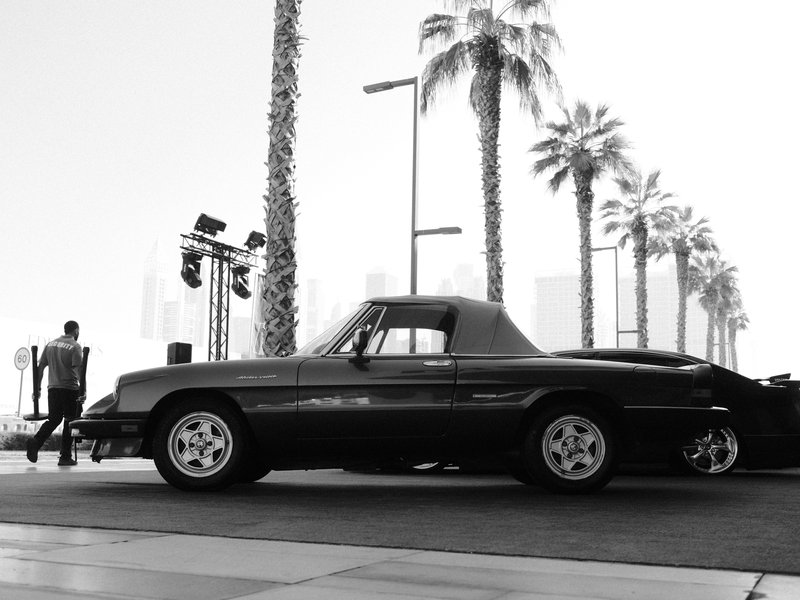 A classic black car parked near palm trees with a city skyline in the background.