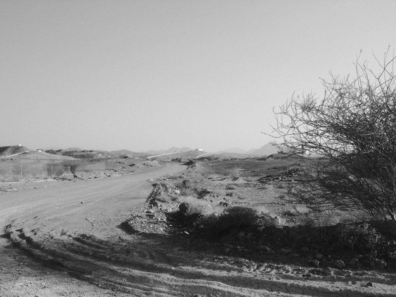 A barren landscape with a winding dirt road and sparse vegetation under a clear sky.