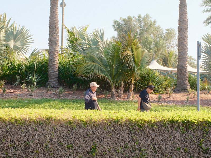 Two people walking through a lush green area with palm trees in the background.