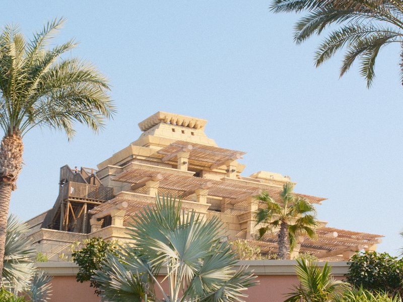 A large pyramid-like structure under construction surrounded by palm trees against a clear sky.