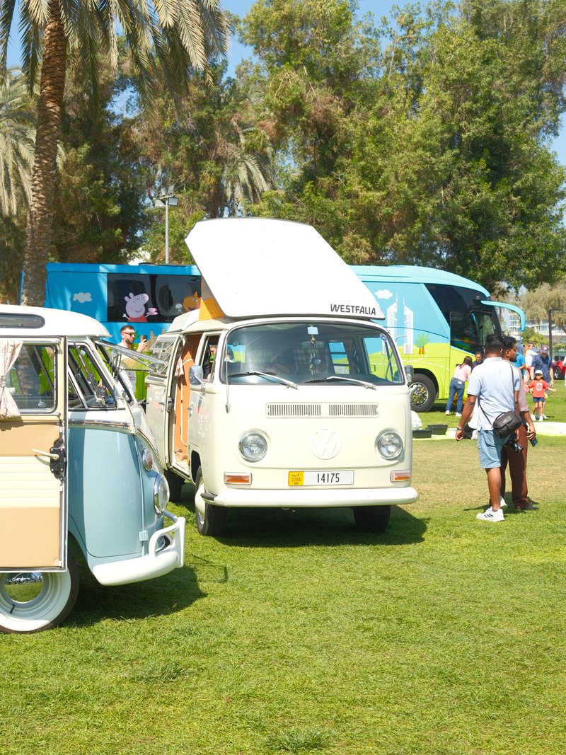 Two vintage Volkswagen vans parked on green grass with people and trees in the background.