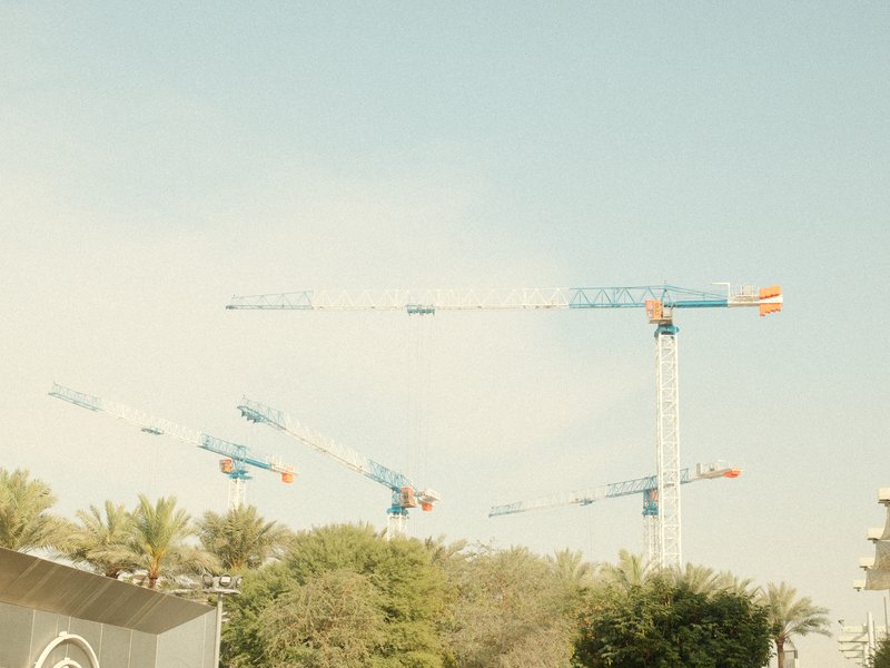 Construction cranes against a clear sky with palm trees in the foreground.