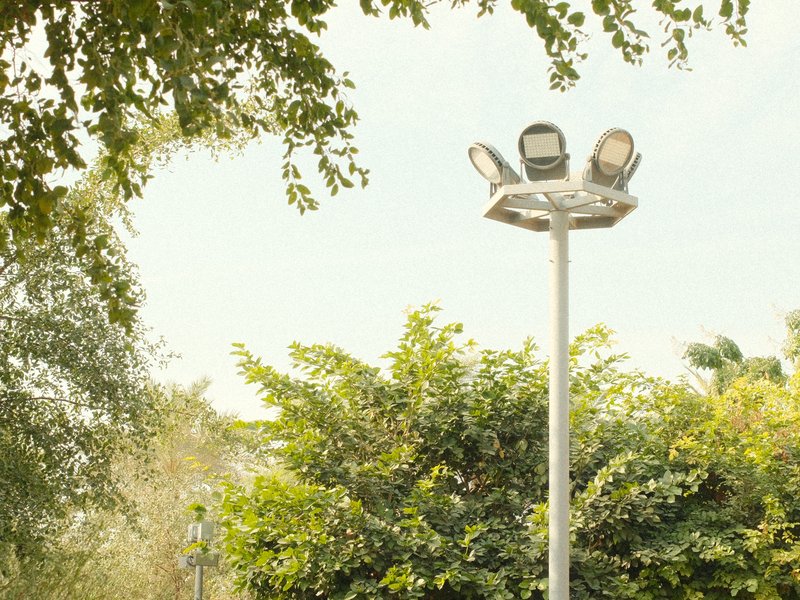 A street lamp surrounded by lush green foliage under a clear sky.