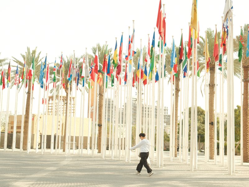 A person walks among tall flagpoles adorned with various international flags under bright sunlight.