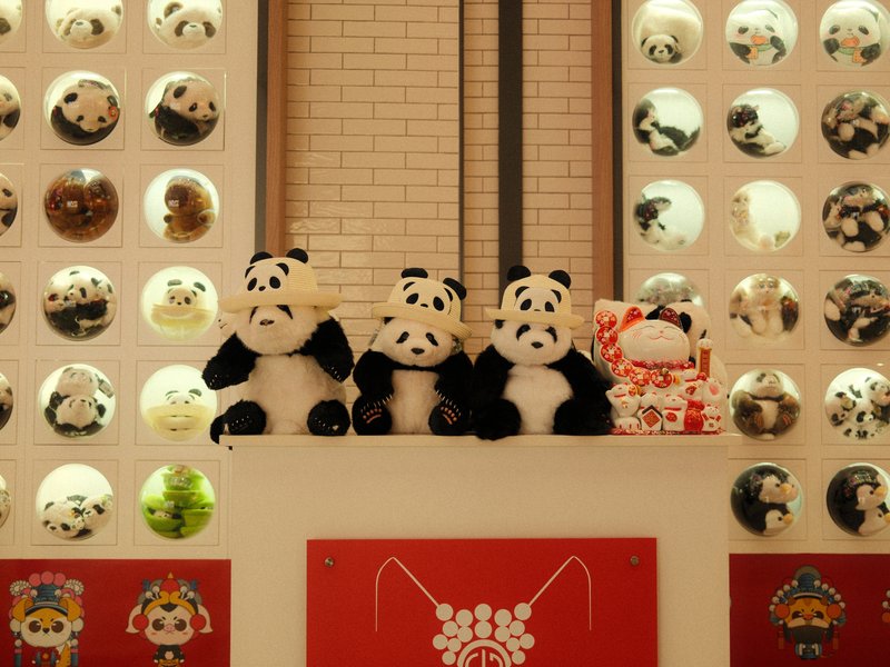 Three panda plush toys on a shelf against a wall of circular panda-themed decorations.